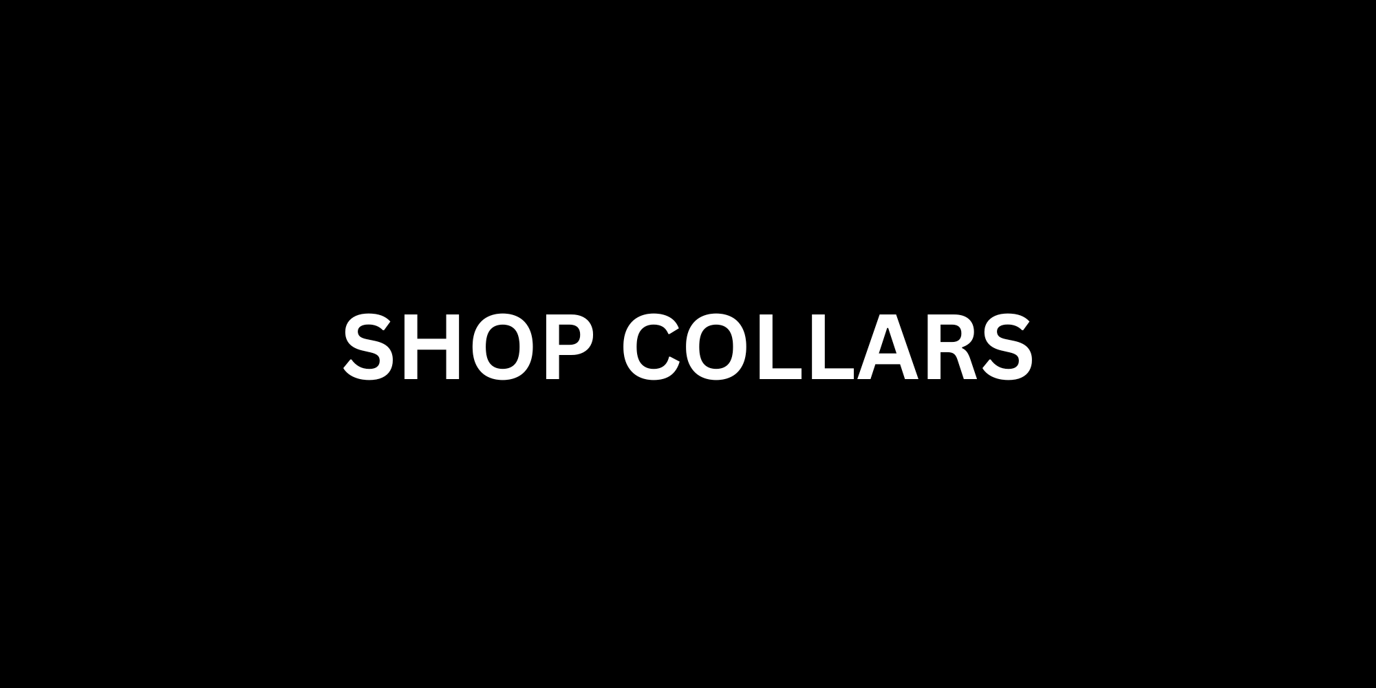 Shop dog collars - durable, stylish, and comfortable designs